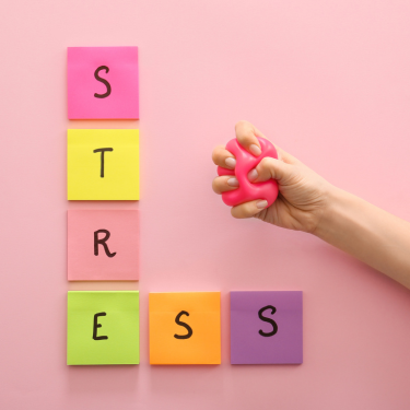 Bekijk de training Grip op stress